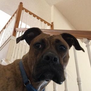 Meet your Posher, Robert